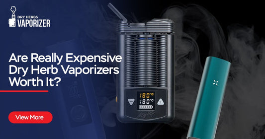 Are Really Expensive Dry Herb Vaporizers Worth It?