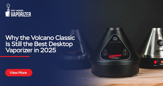 Why the Volcano Classic Is Still the Best Desktop Vaporizer in 2025