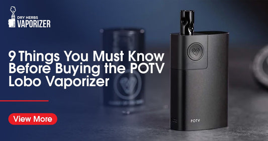 9 Things You Must Know Before Buying the POTV Lobo Vaporizer