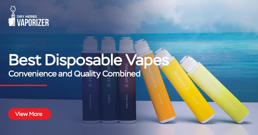Best Disposable Vapes Convenience and Quality Combined Dryherbsvaporizer.com