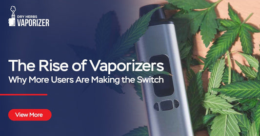The Rise of Vaporizers-Why More Users Are Making the Switch | Dryherbsvaporizer.com