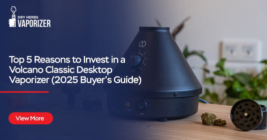 Top 5 Reasons to Invest in a Volcano Classic Desktop Vaporizer 2025 Buyer’s Guide